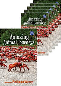 Amazing Animal Journeys: Title Set 6 student copies