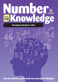 Number Knowledge: Grouping and place value (Stages 7 & 8)